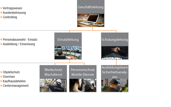 M-PRO-grafik-struktur